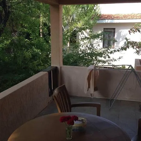 Tatil Koyu Cicek Kokulari, Cam, Palmiye Agaclari Icerisinde Apartmán