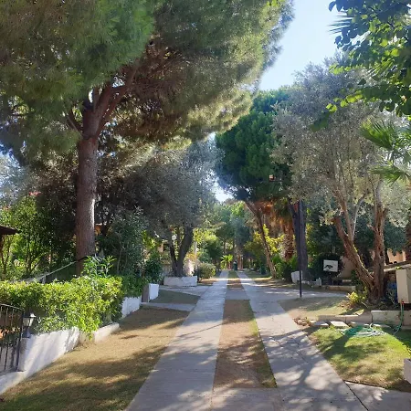 Tatil Koyu Cicek Kokulari, Cam, Palmiye Agaclari Icerisinde Apartmán
