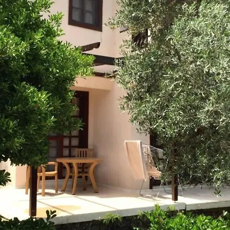 Apartmán Tatil Koyu Cicek Kokulari, Cam, Palmiye Agaclari Icerisinde