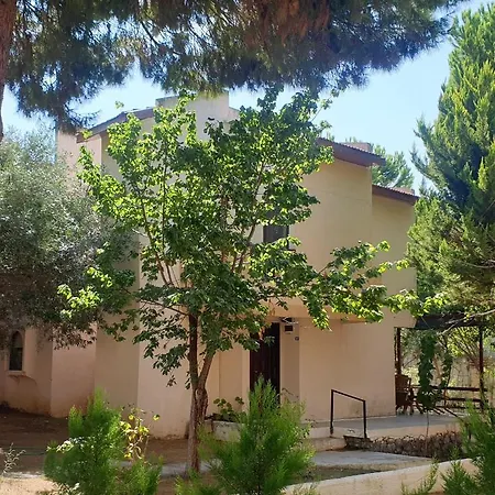 Apartmán Tatil Koyu Cicek Kokulari, Cam, Palmiye Agaclari Icerisinde *