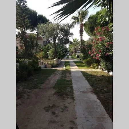 Apartmán Tatil Koyu Cicek Kokulari, Cam, Palmiye Agaclari Icerisinde